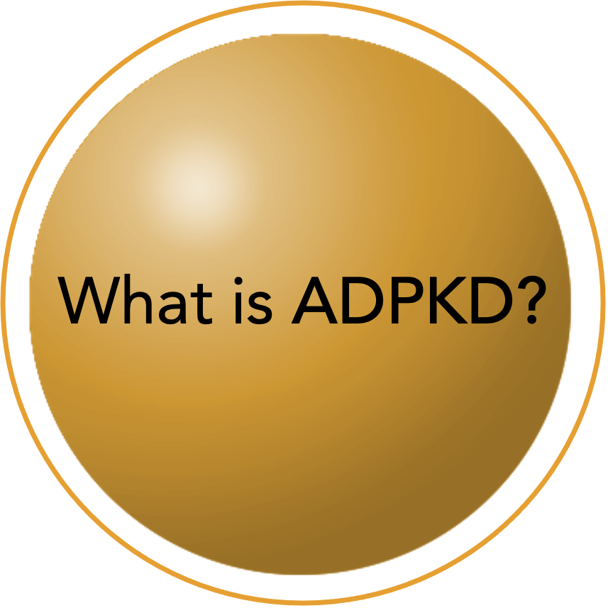 What is ADPKD?